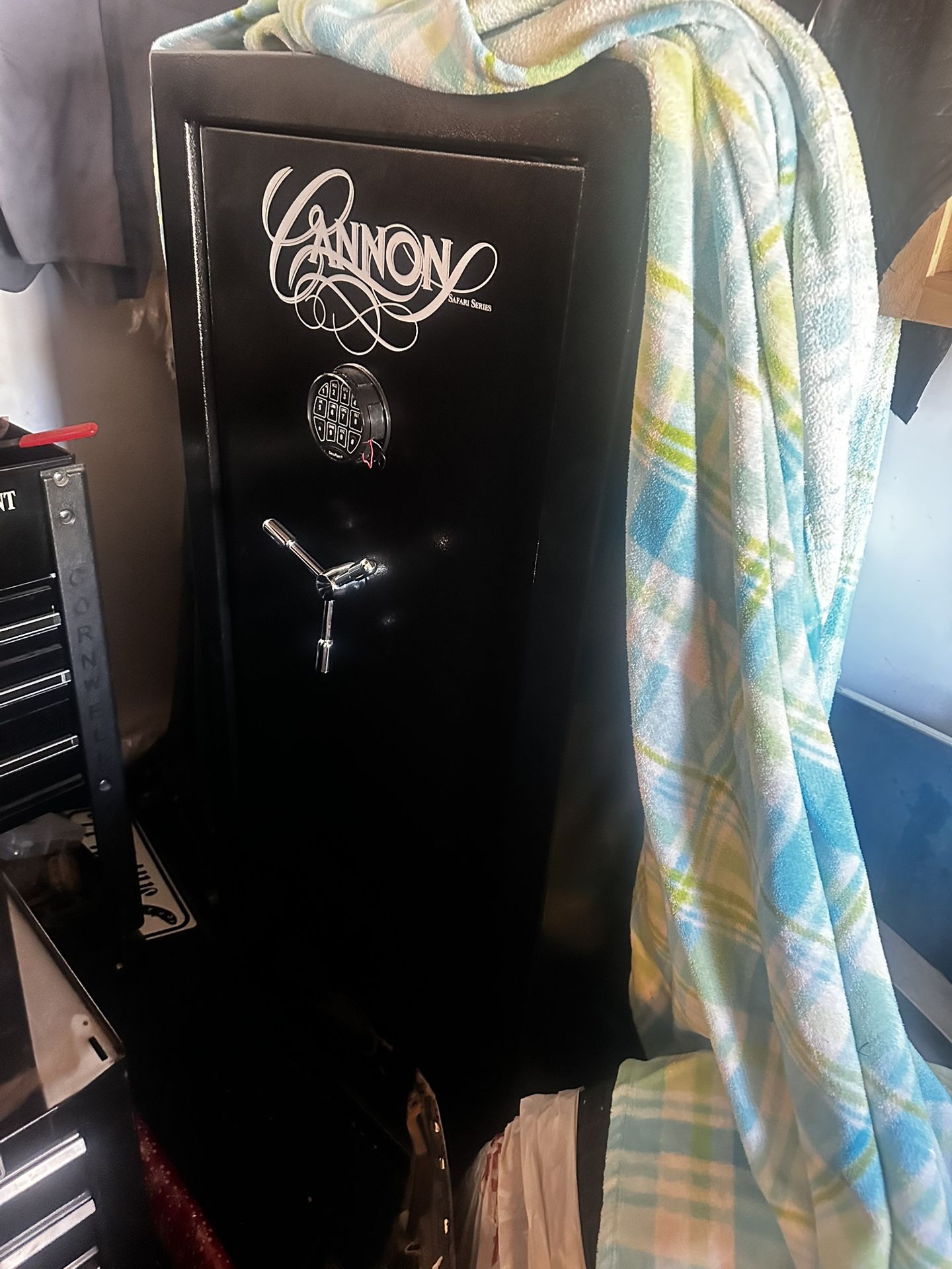 Cannon Safari 24-gun Safe