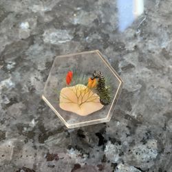 Vintage Acrylic Seahorse Pin 