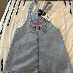 Zara Kids Overall Disney Dress 