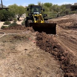 Excavator Skid Steer 