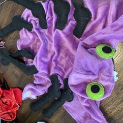 medium dog spider costume 