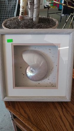 Shell Decorative Art