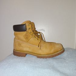 Timberland Wheat Size 11