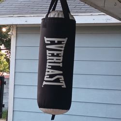 Punching Bag 