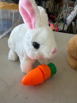 Play bunnies