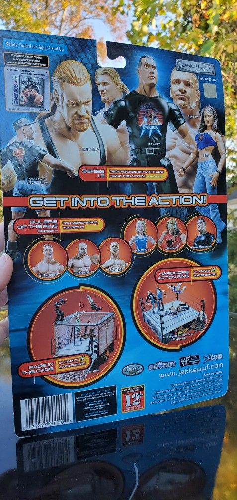 Lita WWE Series 13 action figure 2001