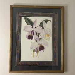 W.H Fitch Framed Orchid Art