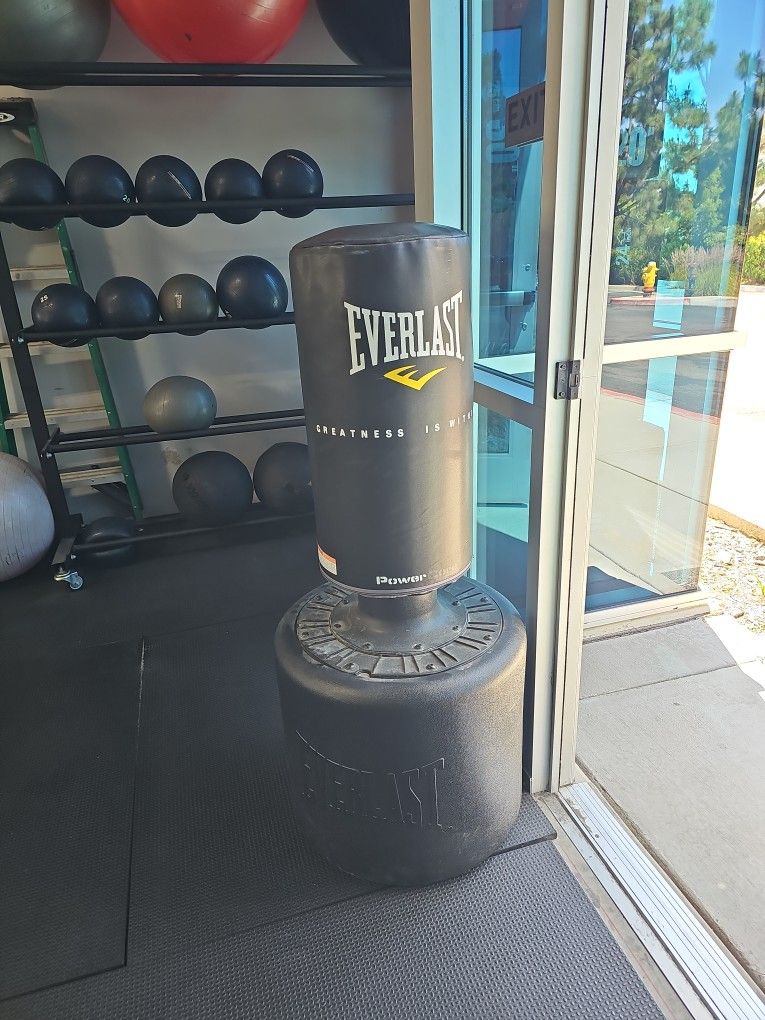 Everlast Punching Bag