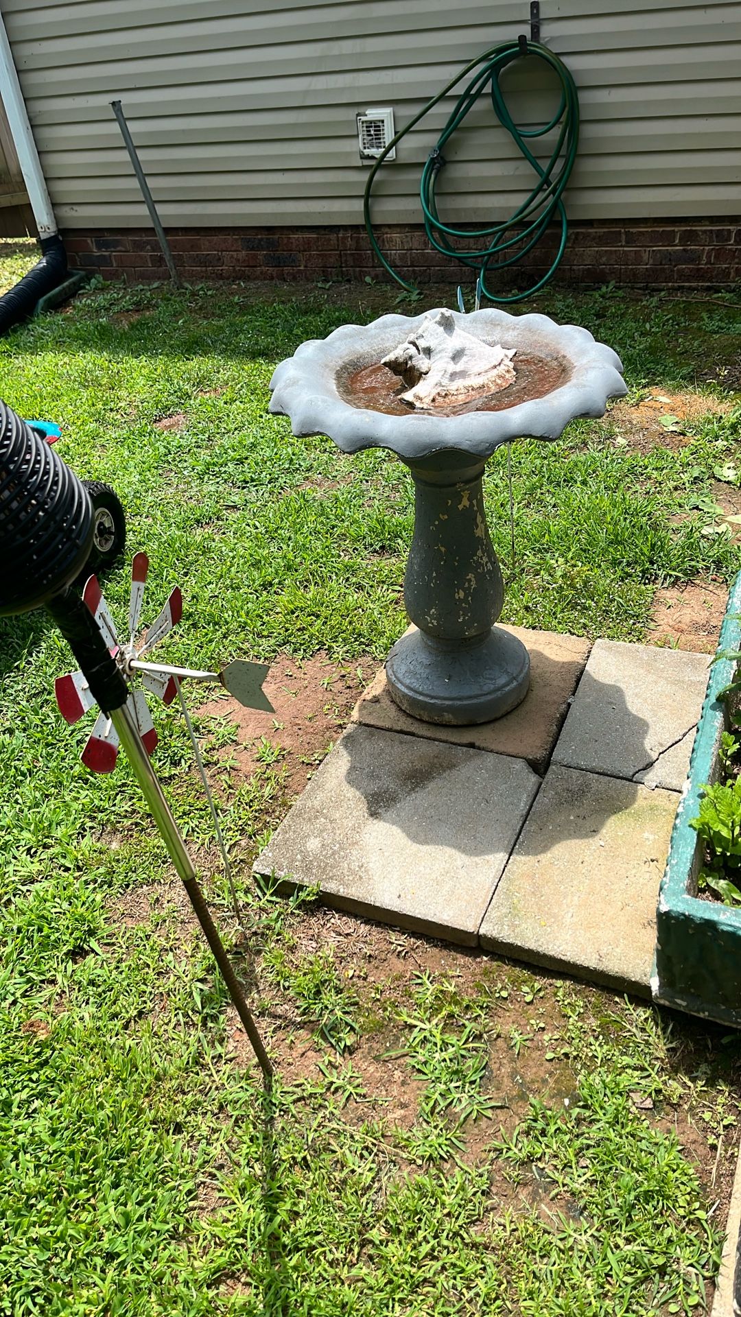 Bird Feeder