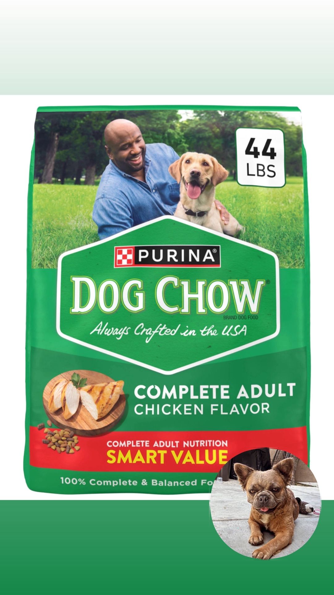 Dog Food