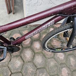 Specialized 24 Inch