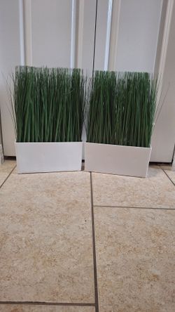 Artificial Grass Plants in White Planters – Set of 2