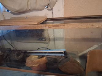 Aquarium/ reptile home