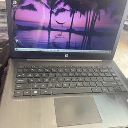 Hp Stream Laptop