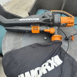 Vacuum/Blower/Mulcher 