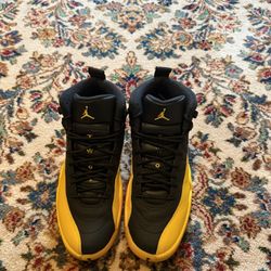 Jordan 12 