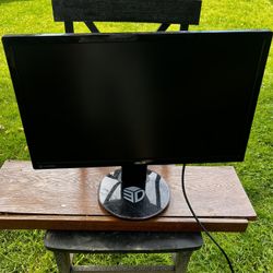 Asus Monitor 