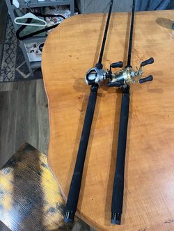 Low down customs rod and shimano tranx 200