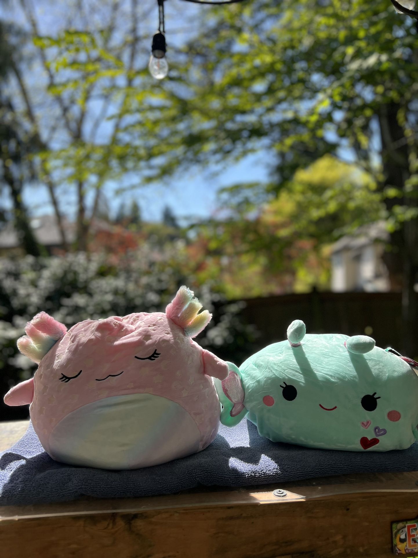 Squishmallow Bundle