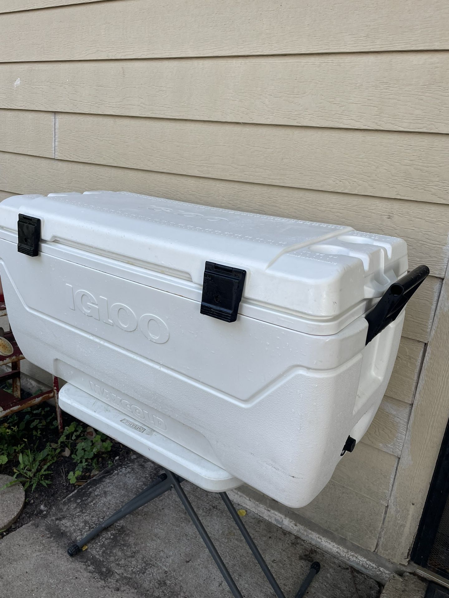 Igloo Max Cold Cooler 152 Qts
