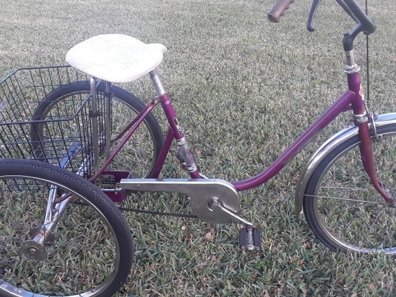 ADULT 24" TRICYCLE