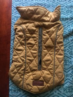 Chamsrra d perro size M think pet sze M