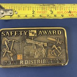 DWP Safety Award Buckle Power Distribution
