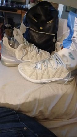 Nike Lebron 18 size 12
