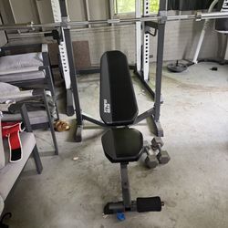 Fitness Bench 
