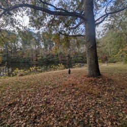 Fishing,RV,CampGround 