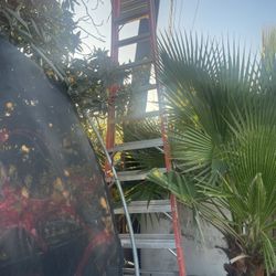 Louisville 16ft Ladder