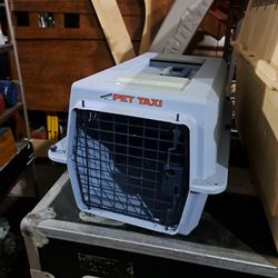 Pet Taxi And Pet Carrier