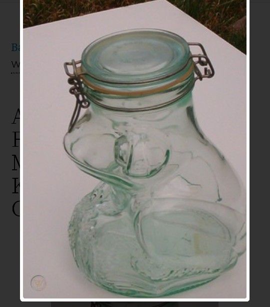 Vintage Aqua Green Glass Frog Jar Hermetic MADE IN ITALY KITCHEN CANNISTER COOKIE JAR
Glass Jar