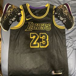 LeBron James Jersey And Shoes