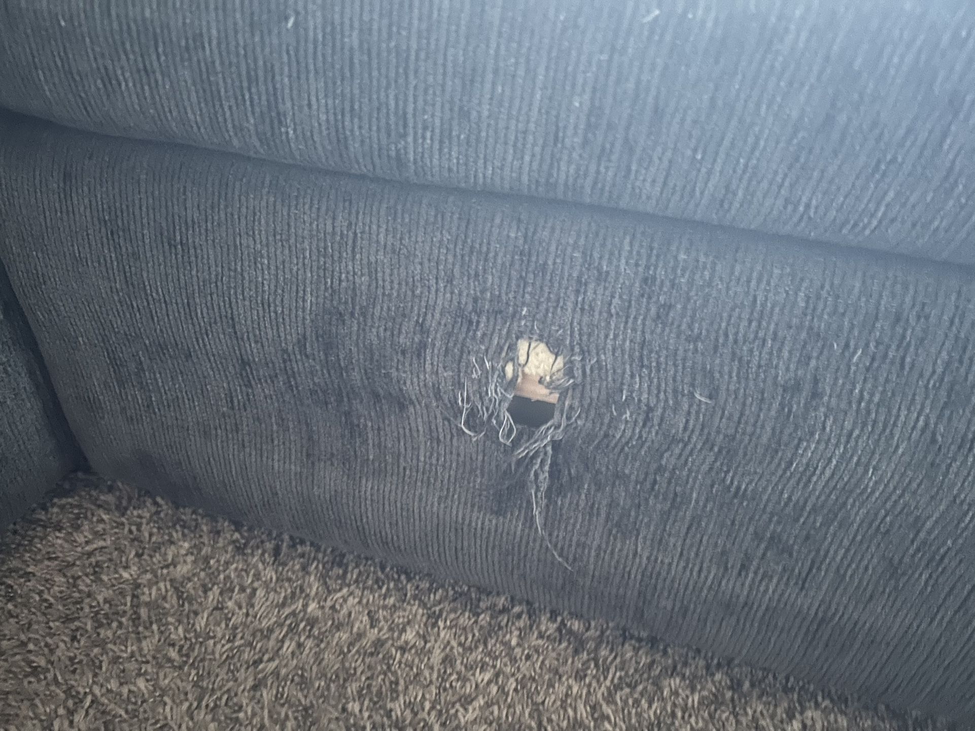 Sectional Couch