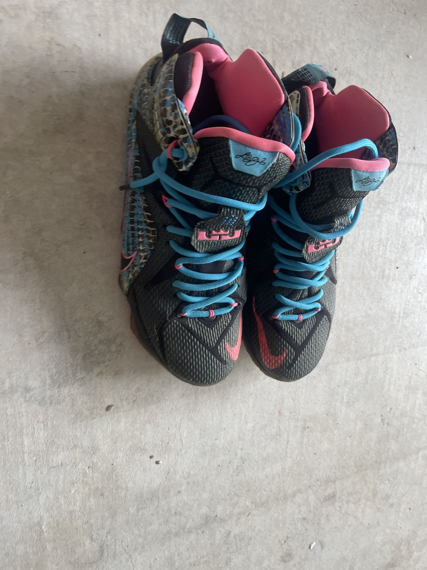 Nike LeBron 12 23 Chromosomes