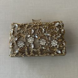 Woman’s Clutch bag 