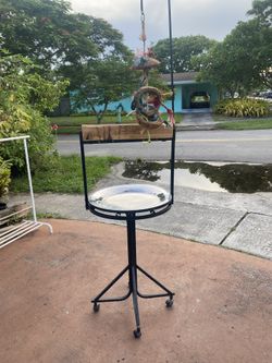 Parrot Bird Play Perch Rolling Stand