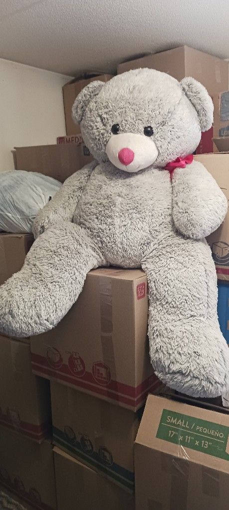 Giant 4 Foot Teddy Needs A Home!