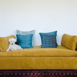 West Elm Dijon Velvet Day Bed