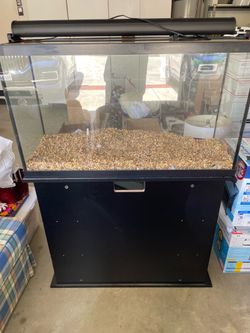 55 gallon aquarium - freshwater