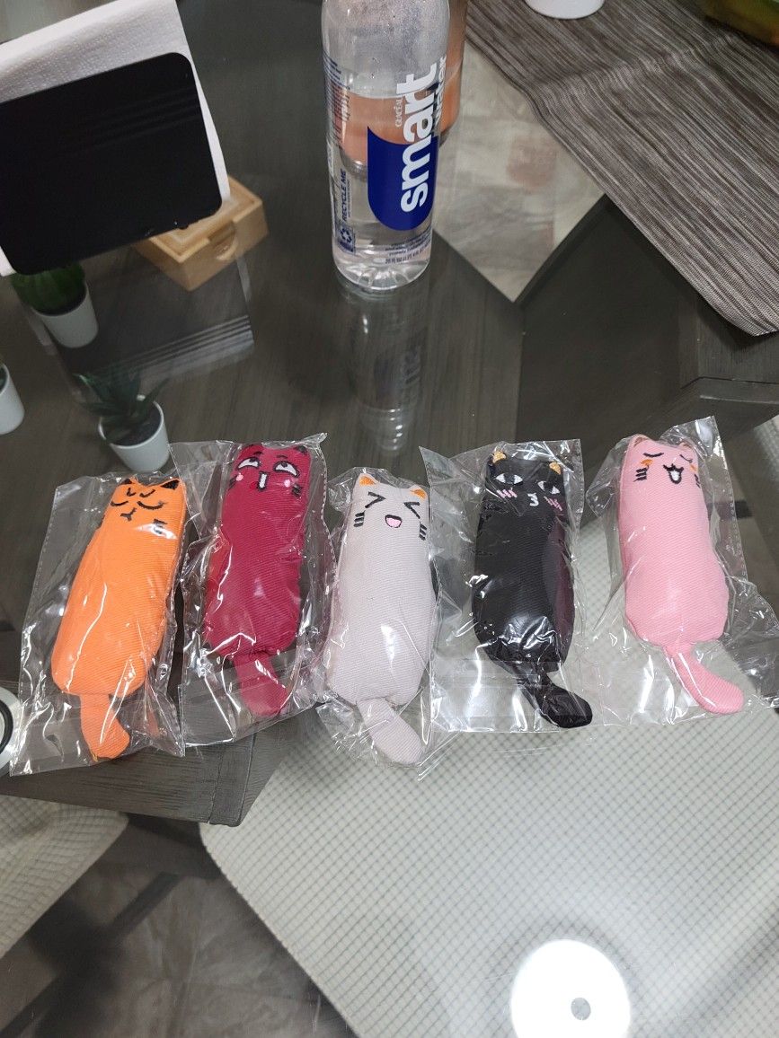 Cat Toy With Catnip Inside