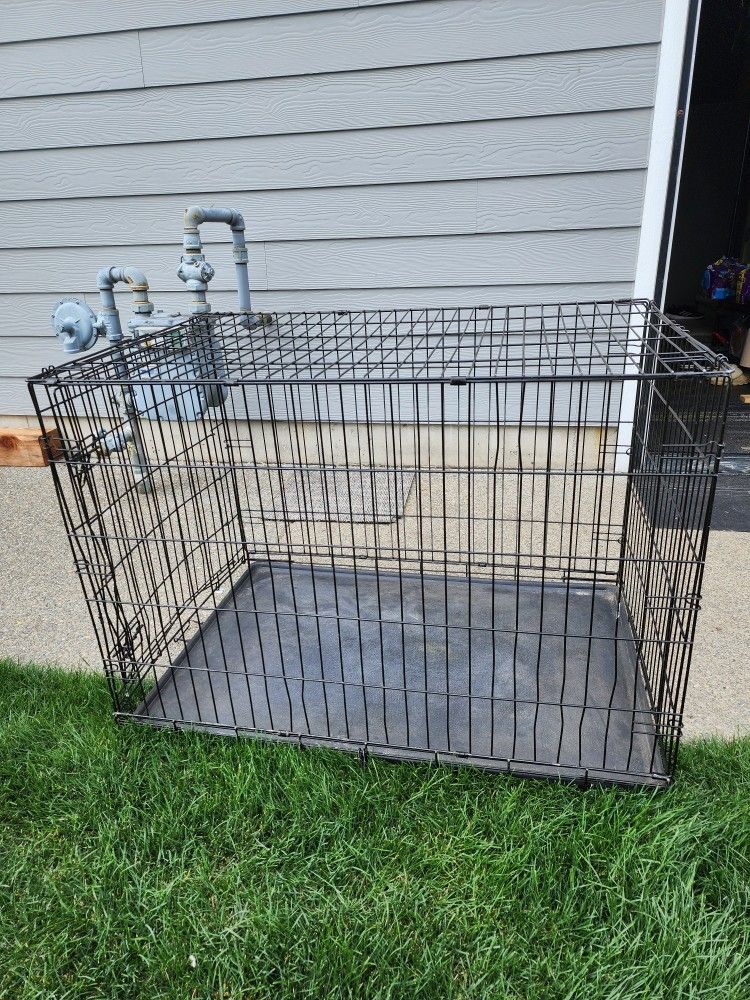 Dog Kennel