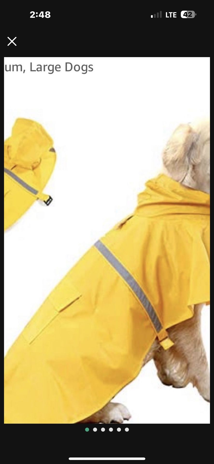 Dog Raincoat