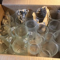 Glass Cups 