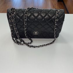 Chanel Purse, No Box, No Dust Bag, In Good Condition, Entrupy Verified 