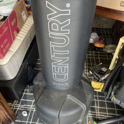 Century Wavemaster Punching Bag