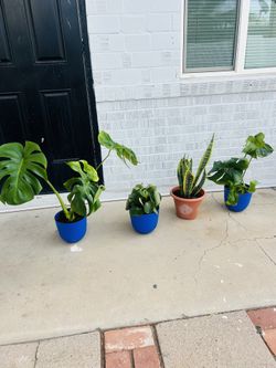 Plans For Sale 20 Each 