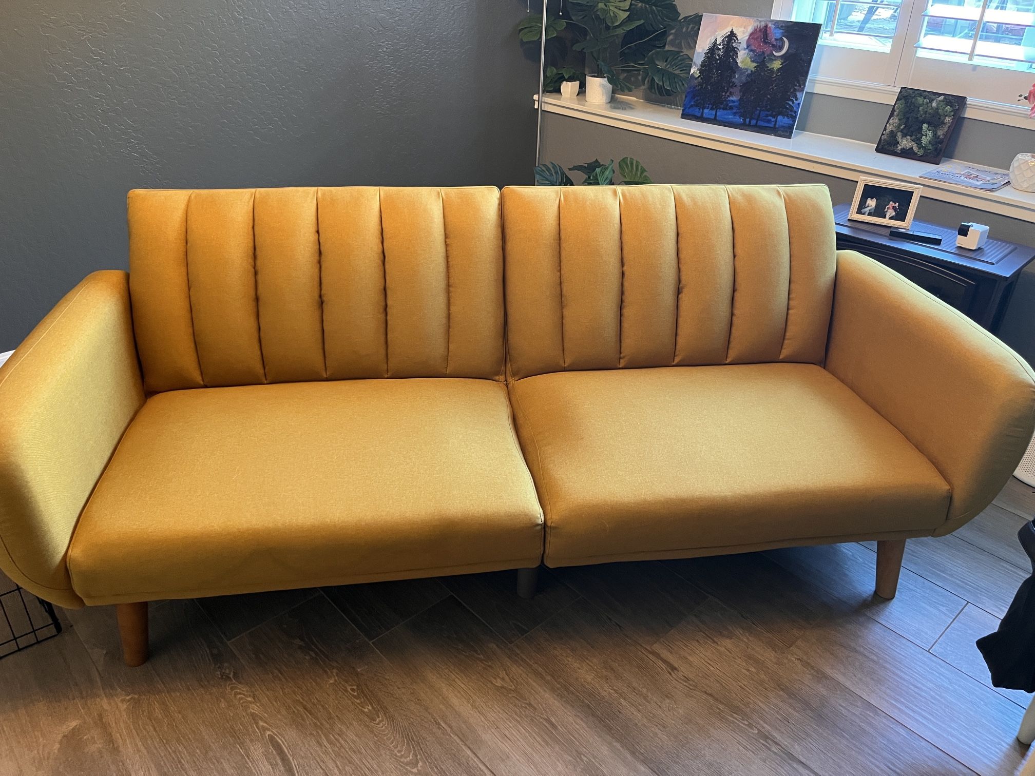 Mid-Century Modern Futon Sleeper
