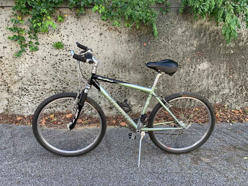 Specialized Adult Bike